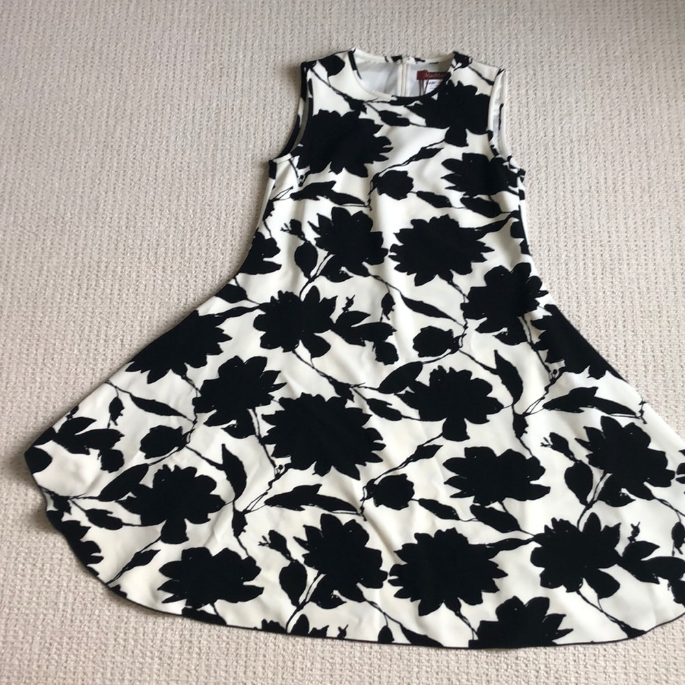 MaxMara Dress